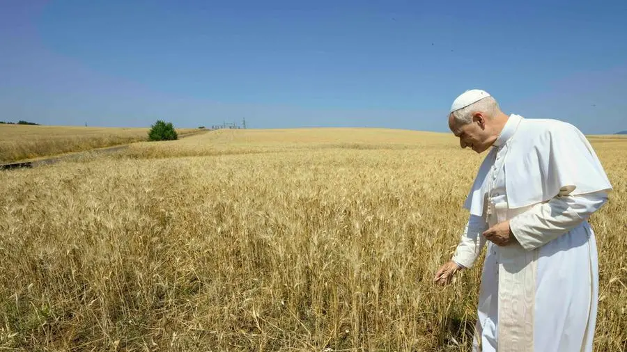 Il Vaticano sceglie il sole: così punta a produrre tutta la sua energia elettrica