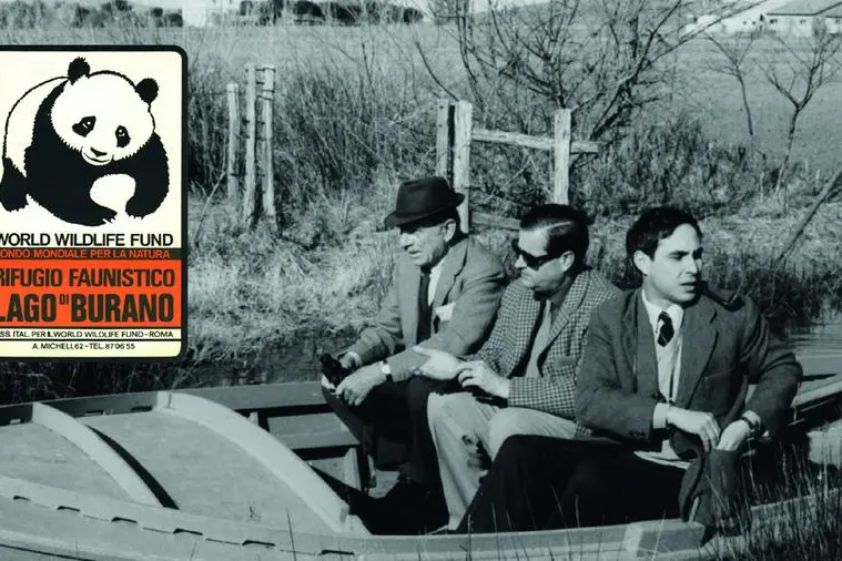 Nel 1967 il WWF Italia, che aveva pochi mesi di vita e 800 soci, lanciò la temeraria sfida per l'acquisizione dei diritti di caccia del Lago di Burano. Un’operazione da 4 milioni di lire l'anno, una spesa fuori portata per le casse di allora, un salto nel buio. Nasce la prima oasi del WWF