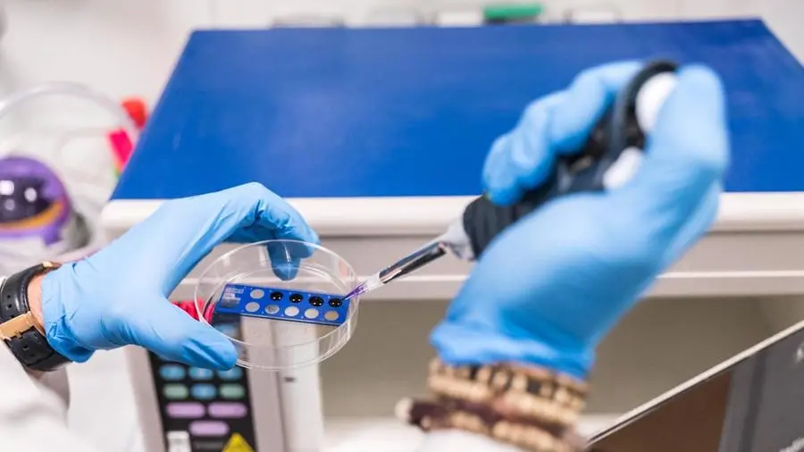 Telethon ottiene il via libera della FDA: la terapia genica per la sindrome di Wiskott-Aldrich arriva negli Stati Uniti