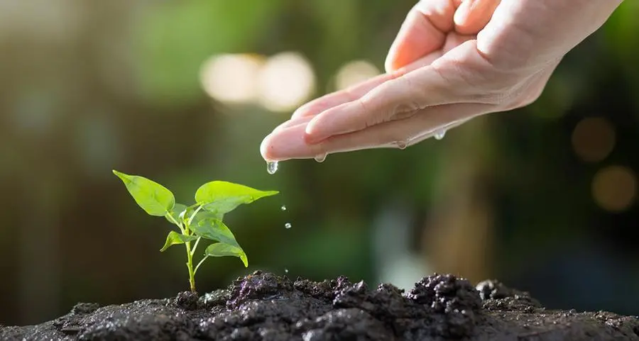 Solennità di Cristo Re dell'Universo (Anno B) - 24 novembre 2024